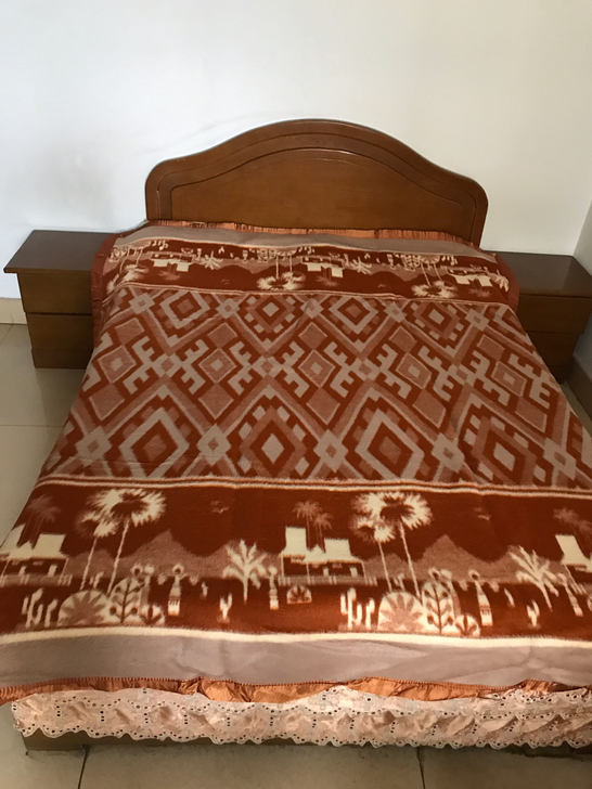 双羊牌高档毛毯。双人款全新正品，重2.6k...