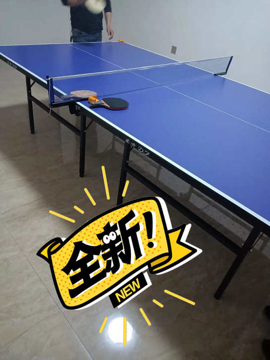 全新 含泪低价出 乒乓球桌家用室内标准可...