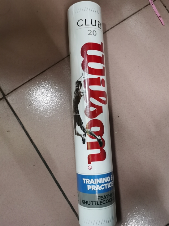 威尔胜羽毛球12个装的  淘宝买的