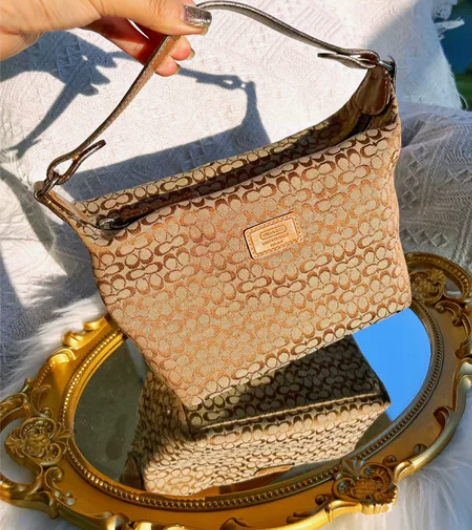 蔻驰中古棕色老花拼皮饭盒包遛狗包手提包手拎...