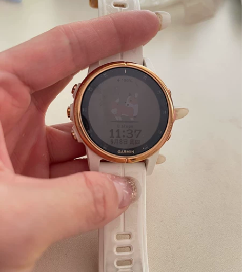 国行 Garmin佳明Fenix5 plu...