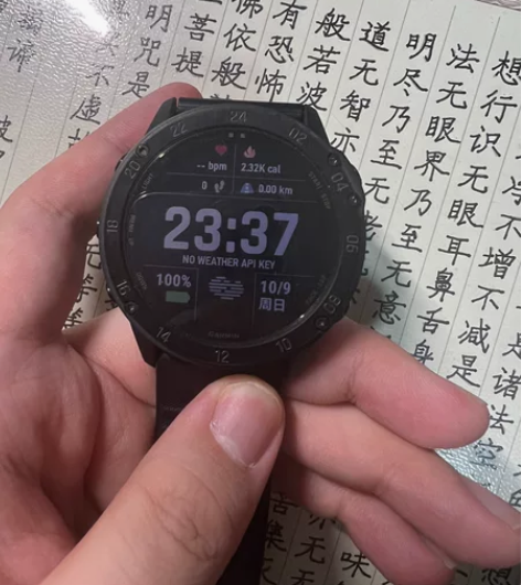 garmin tactix delta 轻...