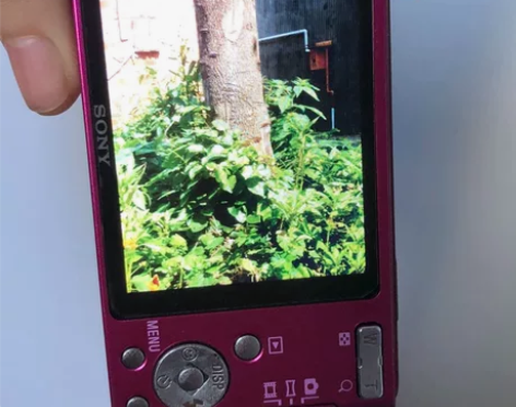 索尼w530 自用ccd，买来拍景，准备换...