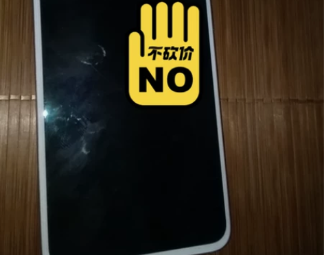 Meizu/魅族 魅族 17 Pro（5G...