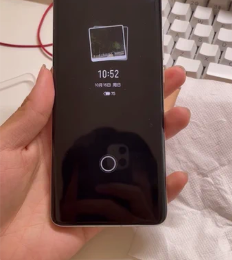 魅族18 12+256 一直带壳使用 第一...