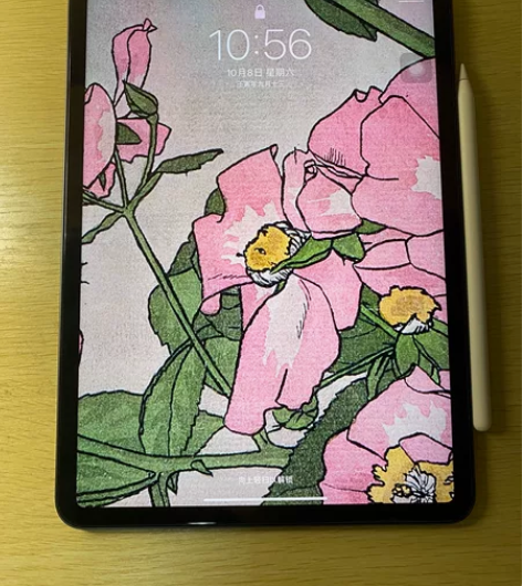 带笔 iPad Pro 2021 11寸 ...