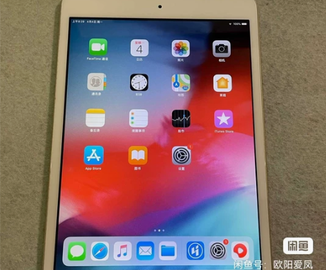 Apple/苹果 iPad mini 感兴...