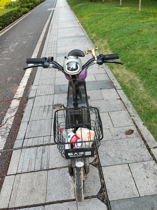 新大洲电动自行车。48V， 20A.续航6...
