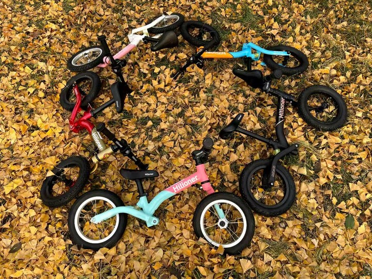 小狮子平衡车，狮臣纪滑步车儿童平衡车