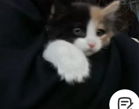 价格20一次！！！！！！5公里内 超过每公...