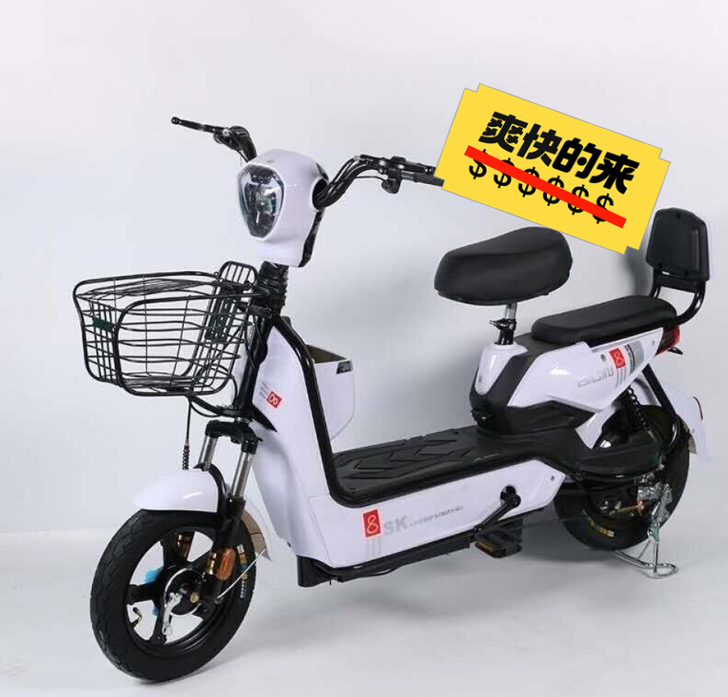 【全新未拆封包邮】新国标电动自行车锂电池电...