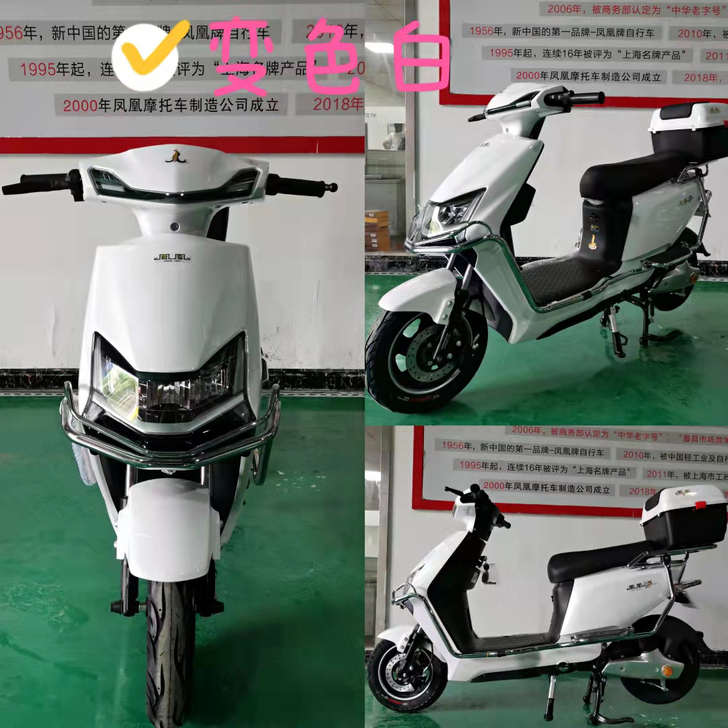 全新，新国标电动车，批发～零售～都可以，价...