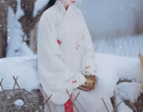 兰若庭 汉服 红果果 马面 交领上衣l裙子...