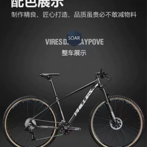 菲利普山地越野车:入手一个月、95新!想换...