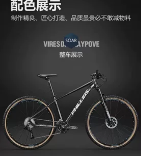 菲利普山地越野车：入手一个半月、平时没怎么...