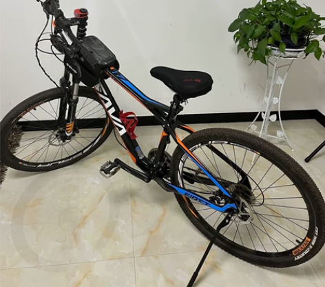 SAVA 山地自行车,碳纤维加大车架,限量...