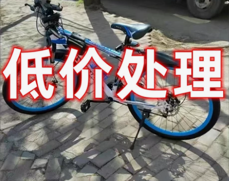 【低价处理】全新包邮山地车自行车男女中青年...