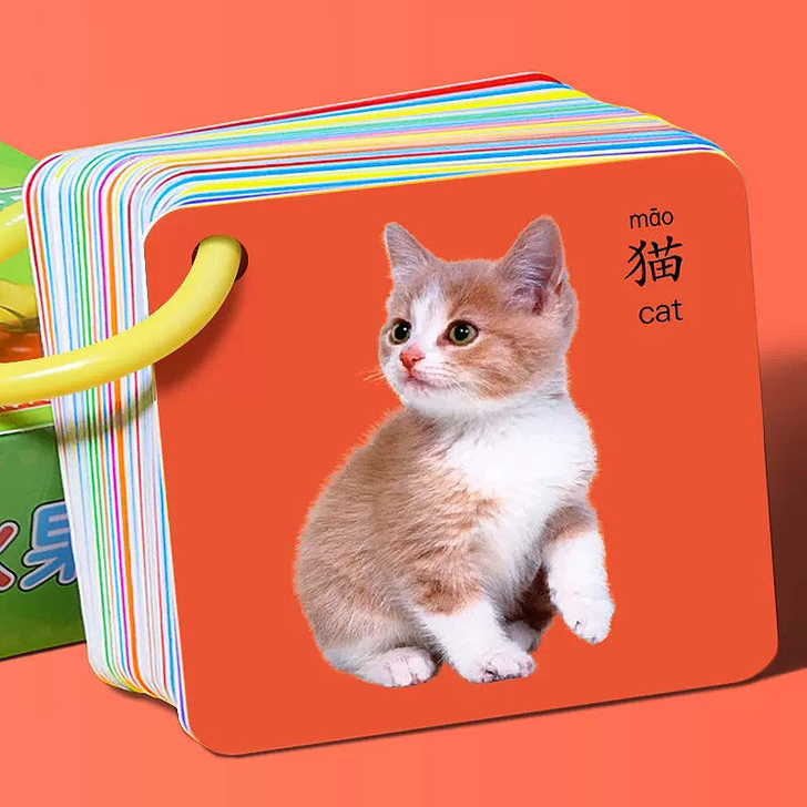 儿童撕不烂早教卡益智学习卡片宝宝启蒙玩具看...