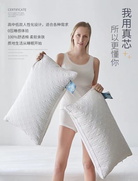 【一对装】紫罗兰全棉羽丝绒水洗枕头枕芯单双...