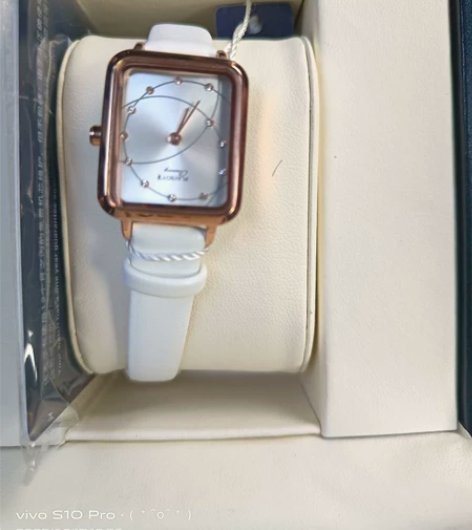 花花公子名牌手表女士轻奢小众红色皮带防水新...