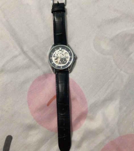正品牌花花公子手表男士机械表男全自动镂空名...