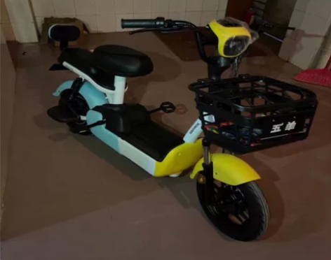 五羊电动车新款电动自行车新国标女士小型电瓶...