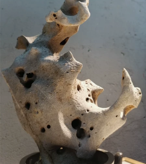 湖石精品，简单清洗，整石基本无伤，可多角度...