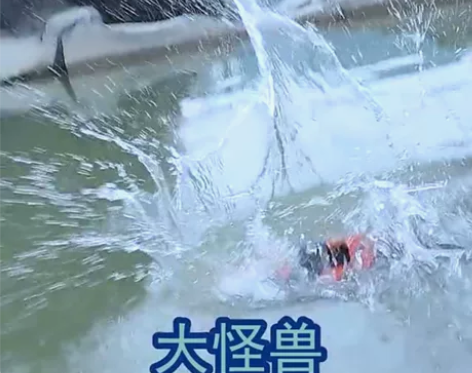 JJRC D820大脚攀爬越野防水四驱高速...