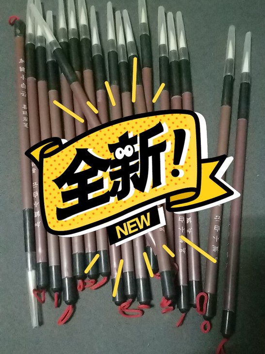 加健小白云，善琏湖笔，全新，共19支，单支...