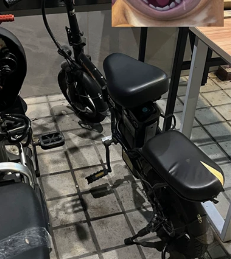 闲置电动车，挺新的，车没毛病，续航25km...