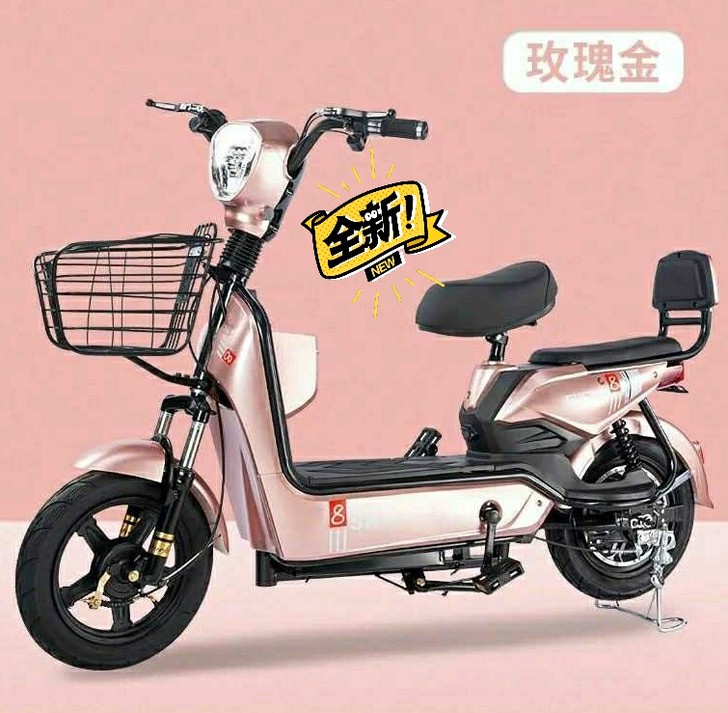 #节后鱼生#全新急售一批全新国标两轮爱玛雅...