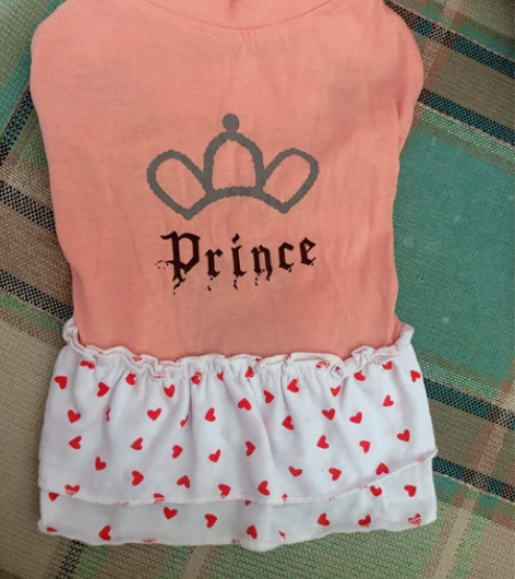 小清新宠物衣服狗狗春夏天裙子轻薄透气可爱公...