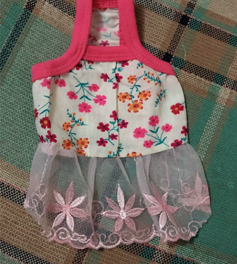 小清新宠物衣服狗狗春夏天裙子轻薄透气可爱公...