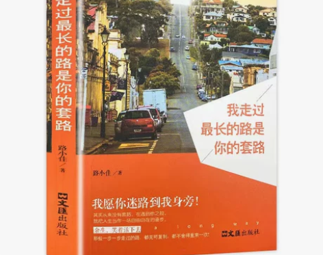 我走过最长的路是你的套路 青春励志小说 青...