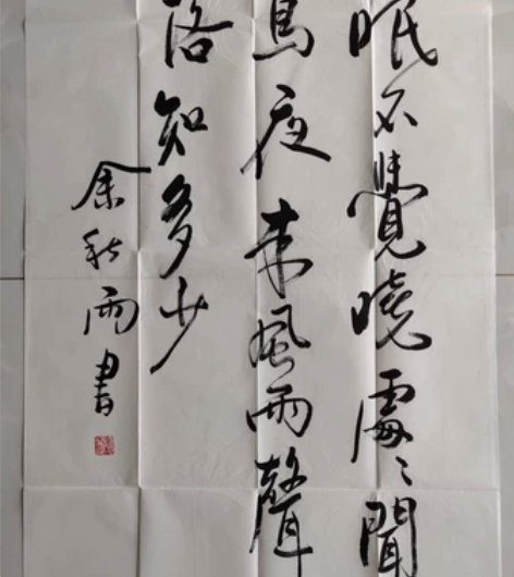 【余秋雨】精品书法一幅,四尺中堂,68厘米...