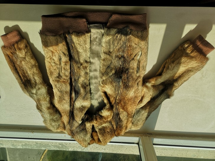 狗皮夾克,上海仙|鹤西服店,适合1米6左右...