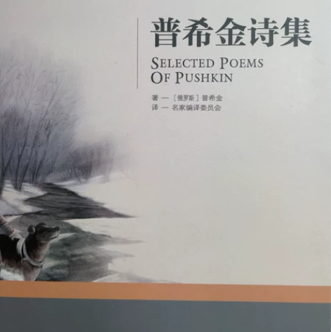 普希金诗集泰戈尔诗集 除了拆封皮翻都没翻开...