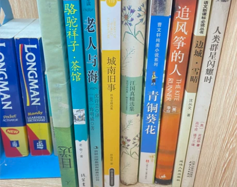 目送/骆驼祥子/老人与海/城南旧事/汪国真...