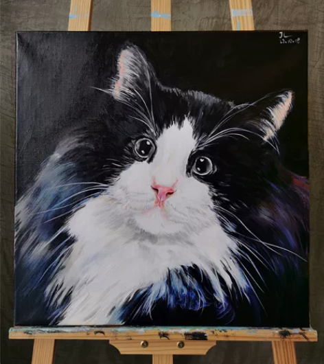 猫咪装饰画 尺寸 40×40