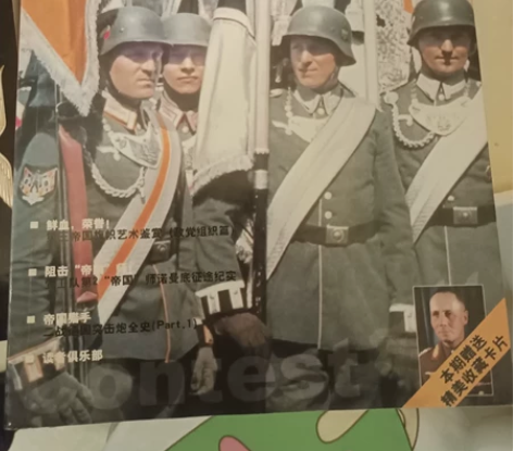 【较量】二战德军历史丛书，丰富的历史资料 ...