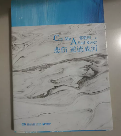 出郭敬明的《悲伤逆流成河》可直拍。 送自封...