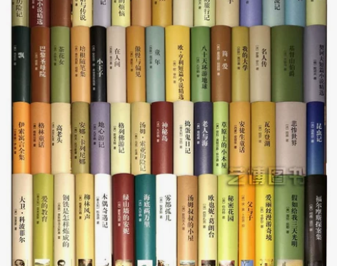 悲惨世界 书籍悲惨世界世界名著全套100本...