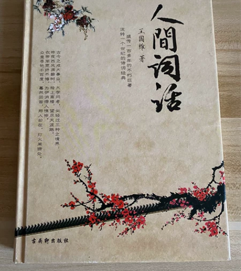 人间词话精装版，二手书，9成新，9.9元。...