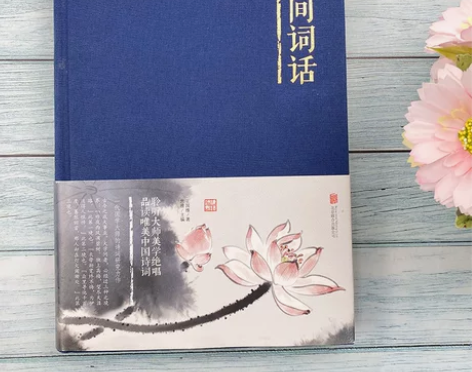 人间词话布面精装硬壳超值全彩典藏版文白对照...