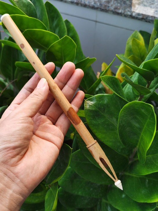 福建红湘妃鸡距毛笔