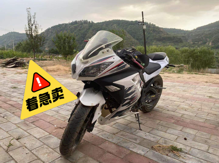 250地平线公路赛