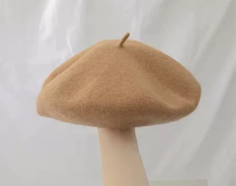 贝雷帽，买来不会戴，一直闲置，全新未使用。...