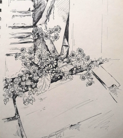 速写，色彩约稿写生。速写15，色彩25，多...