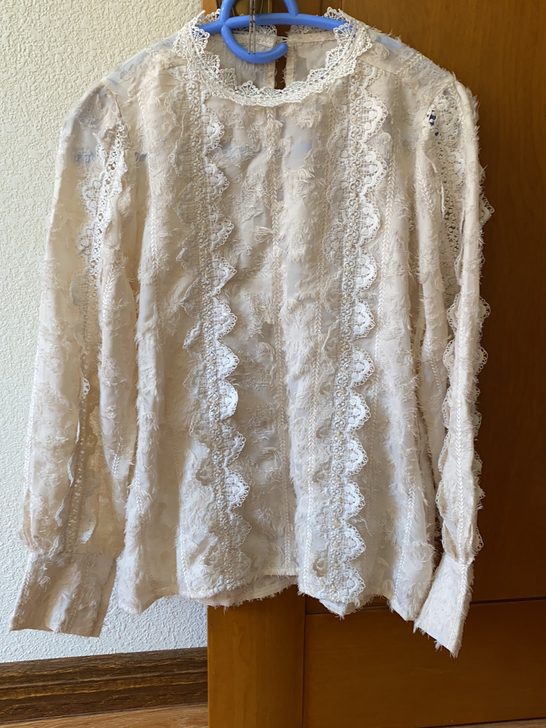 羽毛蕾丝衫，米杏色，M码，就穿了2次，商场...