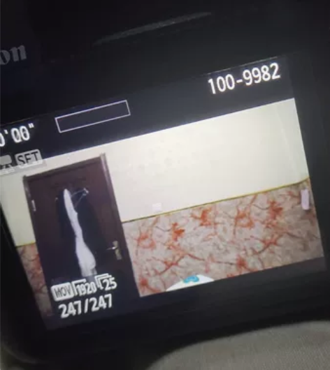 ?佳能1500d+腾龙VC防抖18-200...